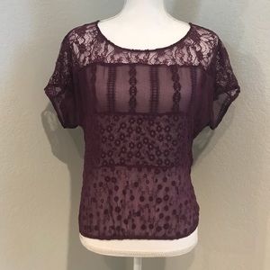 Beautiful Ella Moss purple lace top